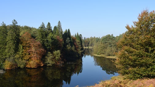 Tarn Hows, Cumbria